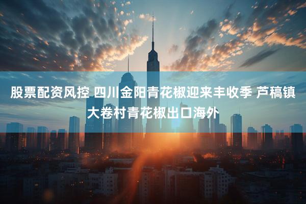 股票配资风控 四川金阳青花椒迎来丰收季 芦稿镇大卷村青花椒出口海外
